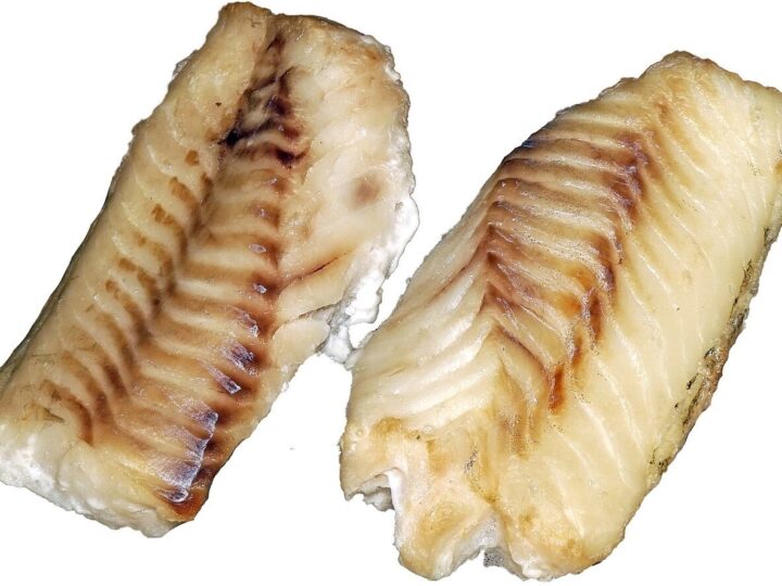 Filets de cabillaud cuits au four présentés sans garniture
