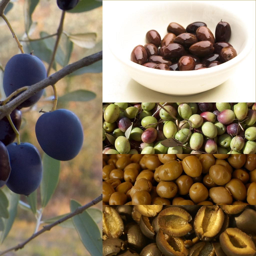 Olives sur une branche, dans un bol et en gros plan.